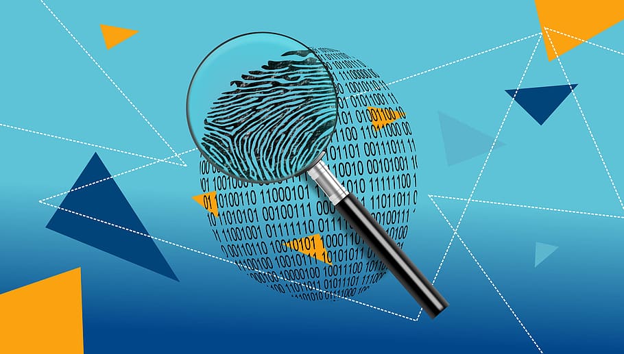 what is digital forensics